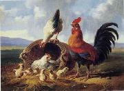 unknow artist Cocks 158 France oil painting artist
